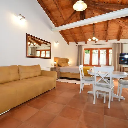 Casa Degli Artisti بيت ضيافة روفينج