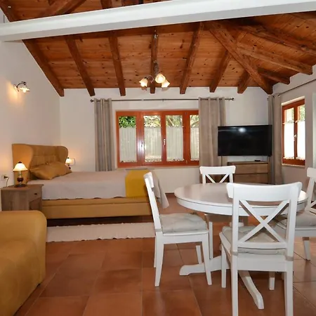 Casa Degli Artisti Πανσιόν Ρόβινι